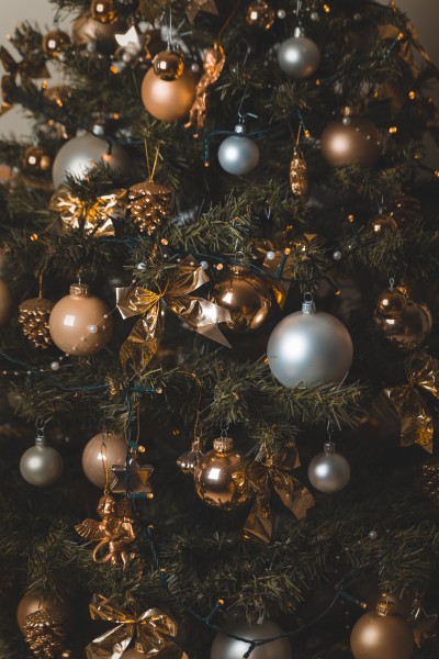 圣诞树上的小挂饰图片(12张)