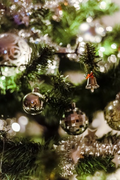 圣诞树上的小挂饰图片(12张)