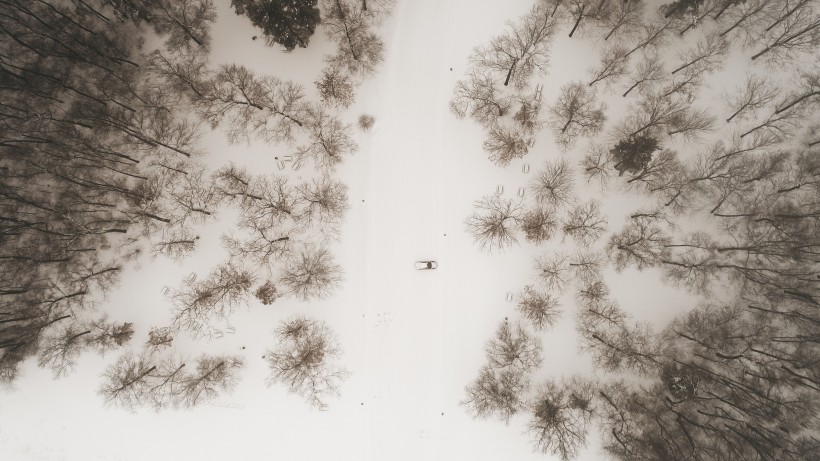 冬季的雪原图片(13张)