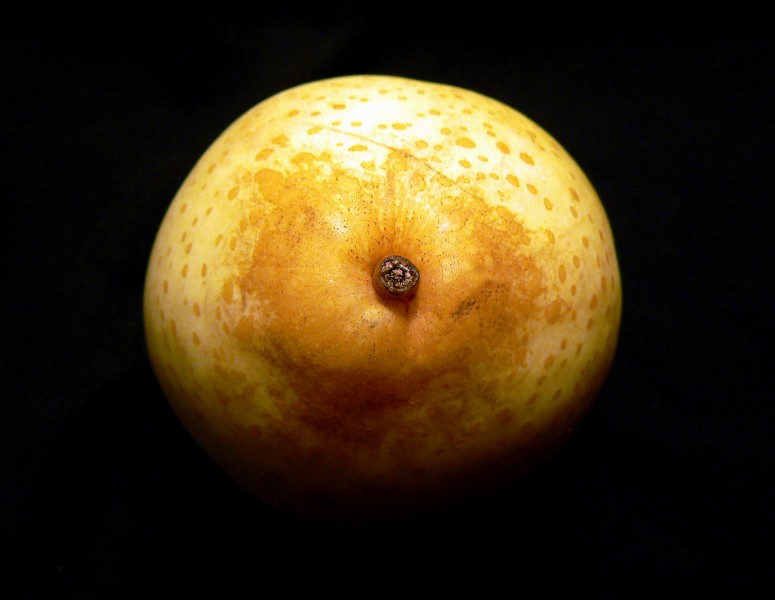 美味的梨子图片(11张)