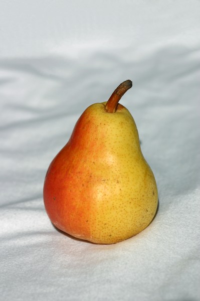 美味的梨子图片(11张)