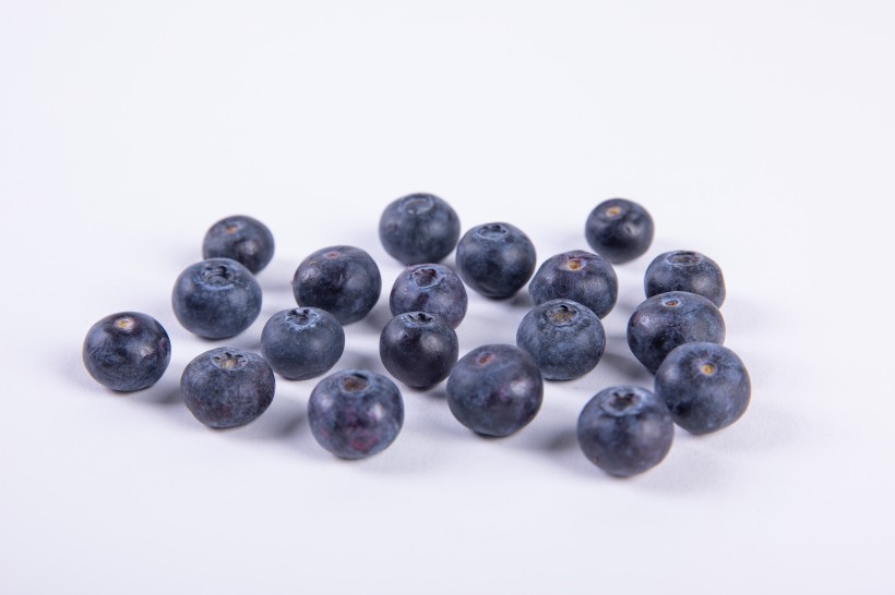 酸甜可口营养丰富的蓝莓图片(9张)