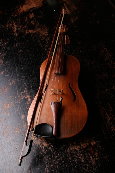 棕色的小提琴图片(10张)