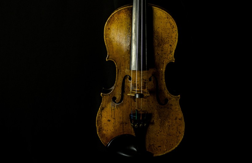 棕色的小提琴图片(10张)