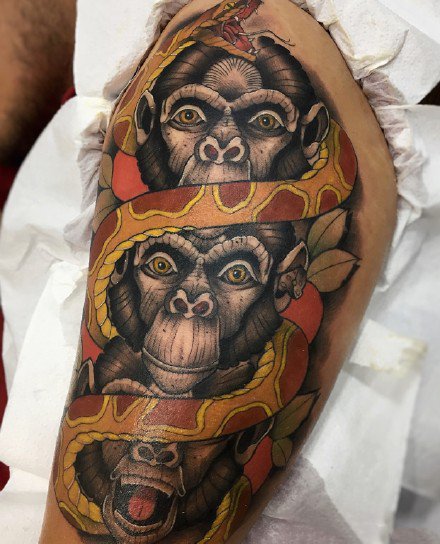 猩猩纹身 不同风格的一组9张猩猩猴子纹身图片