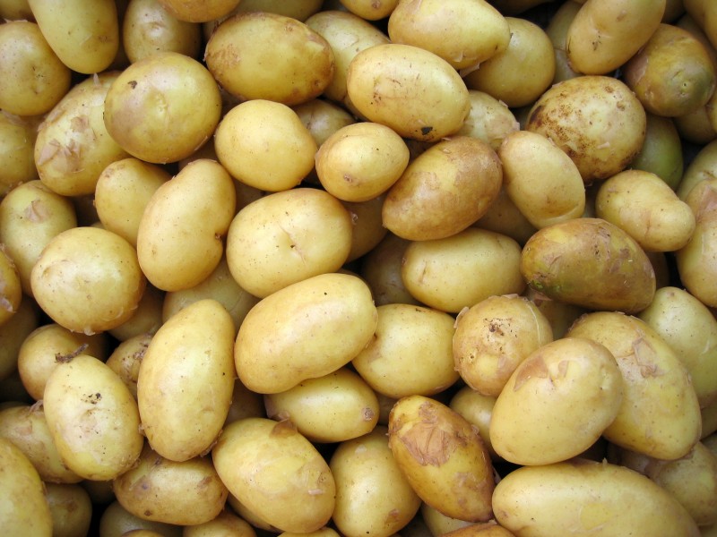 新鲜光滑的土豆图片(11张)