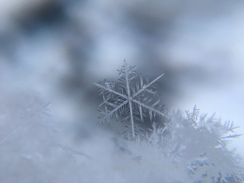 晶莹剔透的雪花图片(9张)