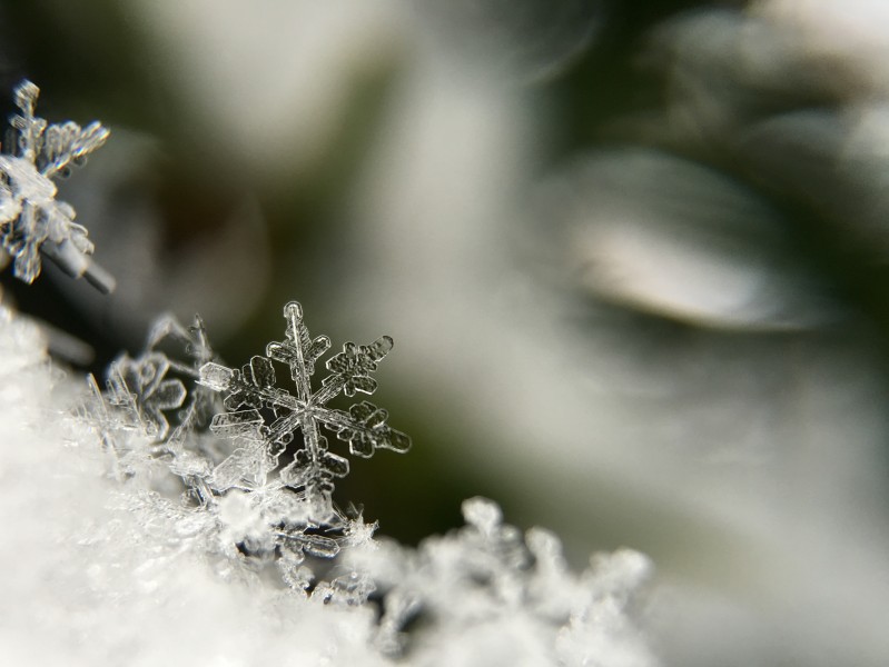 晶莹剔透的雪花图片(9张)