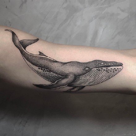 9款黑灰色的点刺鲸鱼纹身图案