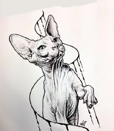 一组斯芬克斯猫的纹身图片
