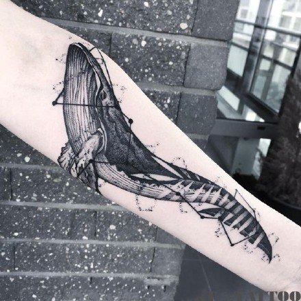 鲸鱼刺青 9款黑灰适合女生的点刺鲸鱼纹身图片