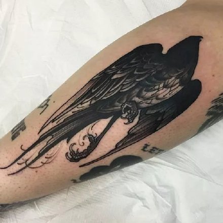乌鸦纹身 37款漂亮的乌鸦纹身作品图案