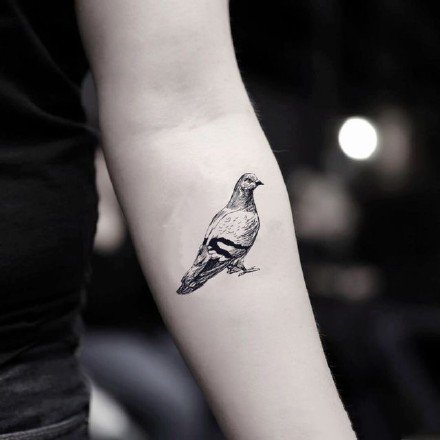 纹身鸽子图 9张象征和平的鸽子纹身图片