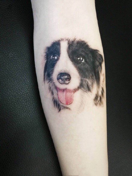 可爱小狗纹身 9张很可爱的宠物小狗狗纹身图片