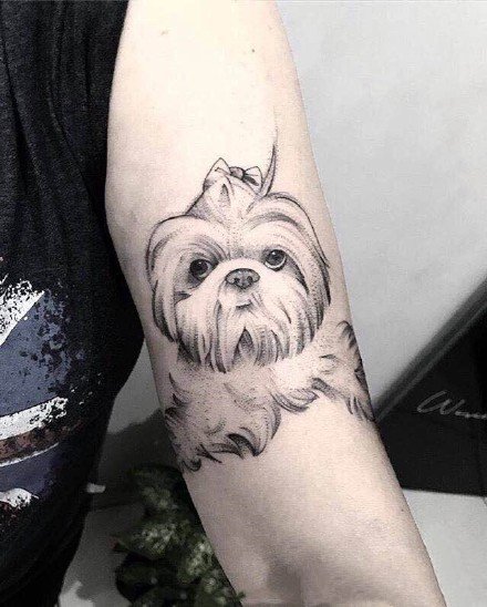 可爱小狗纹身 9张很可爱的宠物小狗狗纹身图片