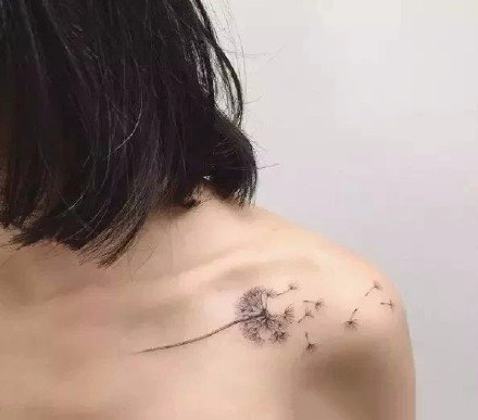 女生肩花纹身 12款好看的小清新女生肩部花朵纹身图案