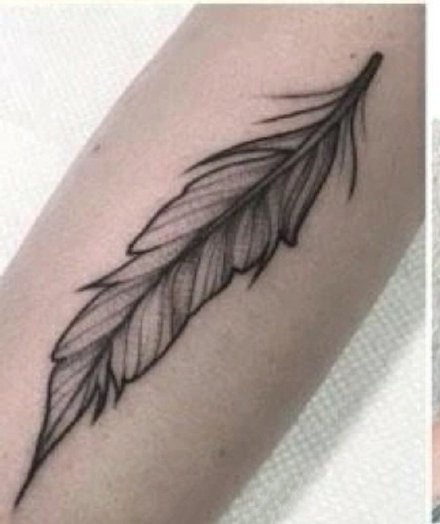 小清新的9张羽毛纹身图片赏析