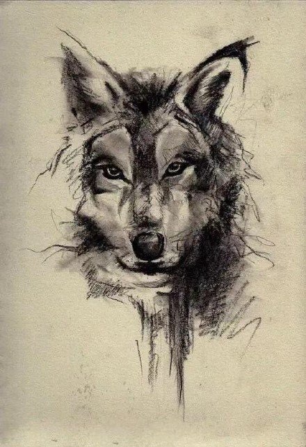 好看的15款狼纹身作品和手稿赏析