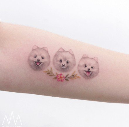 萌翻的的一组宠物小纹身图片