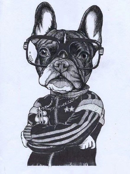 一组可爱宠物沙皮狗的纹身图片
