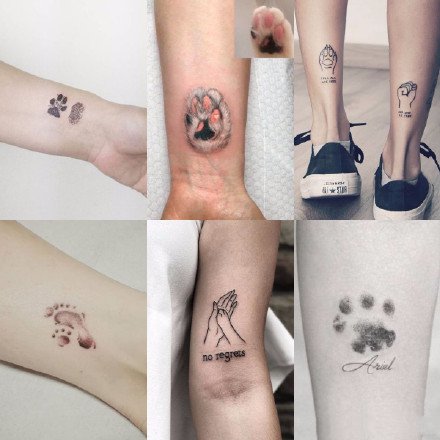 宠物纹身 小清新的9组可爱宠物猫狗纹身图片