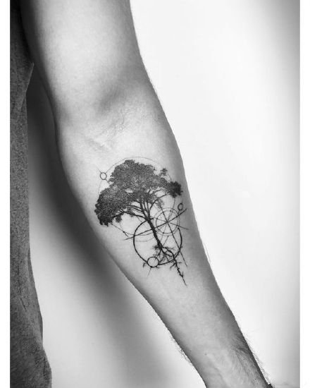 很好看的一组9张黑灰小树纹身图片