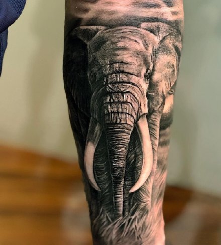象纹身 9款大象主题的黑灰纹身图片赏析