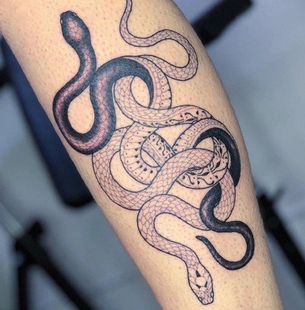 小蛇纹身 国外大师的9款经典蛇纹身图片