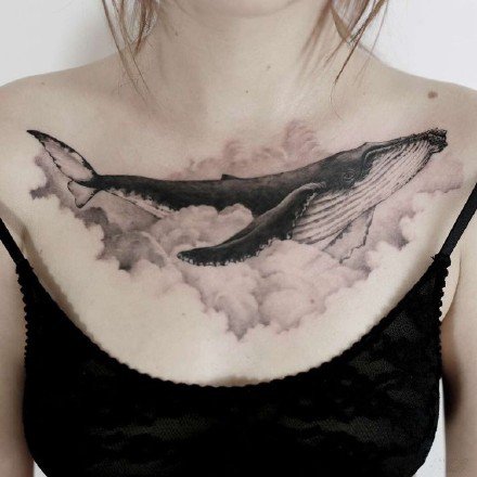 各风格的一组创意鲸鱼纹身图片