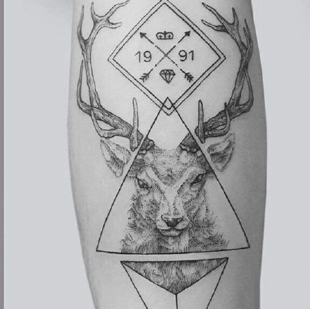 18款小鹿的鹿头纹身作品图片