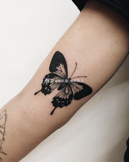 几张不错的黑色小蝴蝶纹身作品图