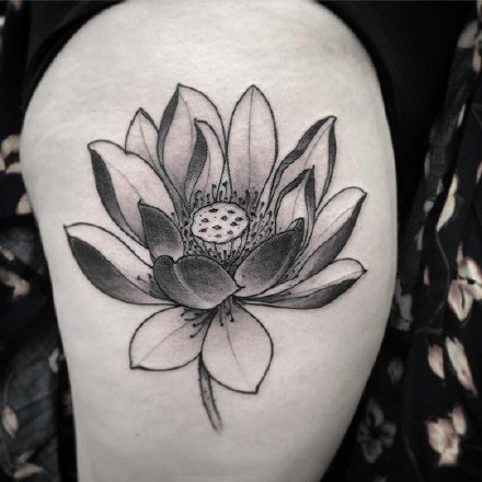 莲花纹身 好看的一组莲花主题刺青图片