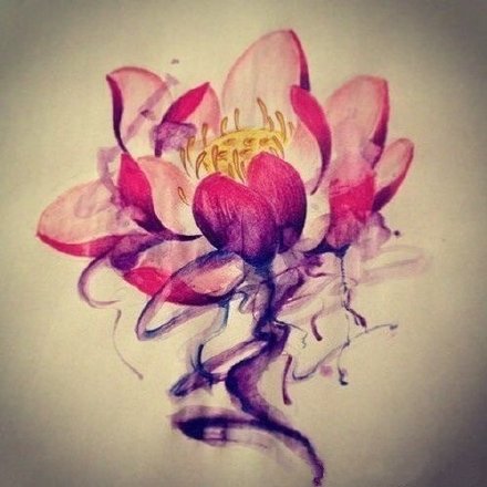 蝶恋花 与莲花有关的一组水彩纹身图片