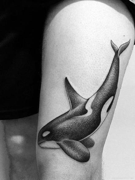 好看的一组小清新鲸鱼和海豚纹身图案