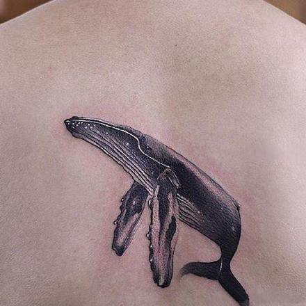 好看的一组小清新鲸鱼和海豚纹身图案