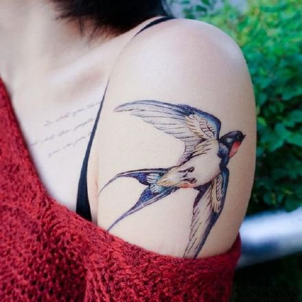 燕子体态美丽，寓意吉祥，成双成对，又象征着爱情。是爱情之鸟