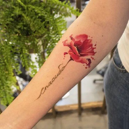 胳膊花纹身 手臂上小清新的一组小臂花朵纹身图片