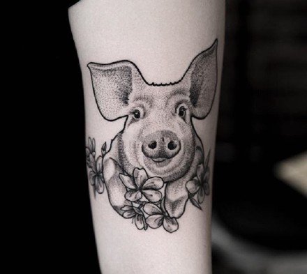 可爱的一组小猪头纹身图片赏析