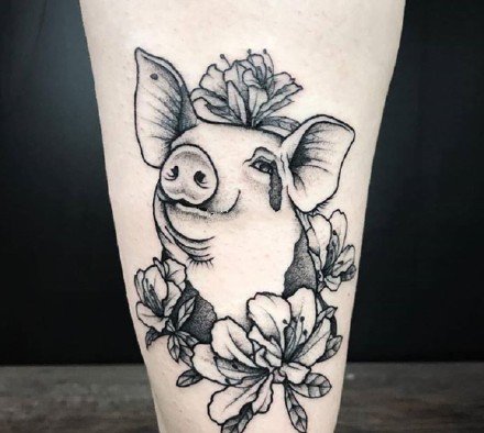 可爱的一组小猪头纹身图片赏析
