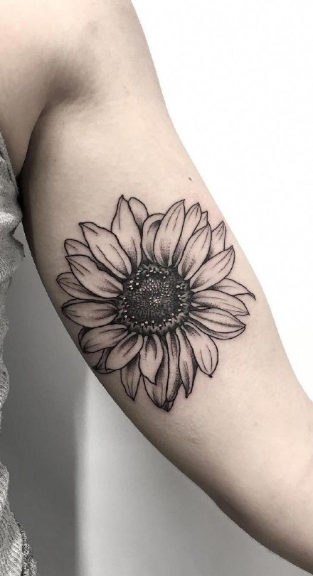 太阳花向日葵主题的黑灰纹身作品图片赏析