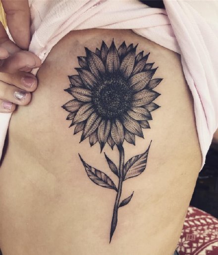 太阳花向日葵主题的黑灰纹身作品图片赏析