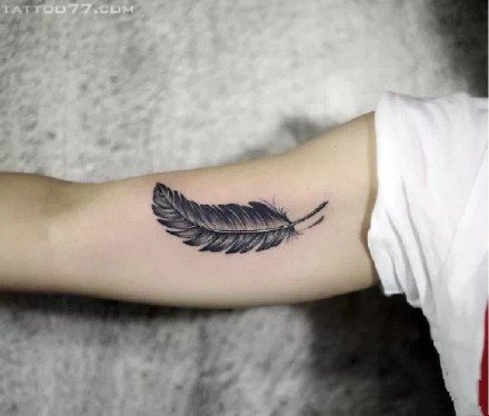 黑灰色的9款羽毛纹身图案-武汉老兵纹身作品