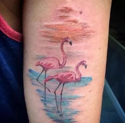 纹身火烈鸟 漂亮的一组火烈鸟主题的纹身图片