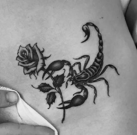十二星座--天蝎座Scorpio的一组蝎子纹身图案