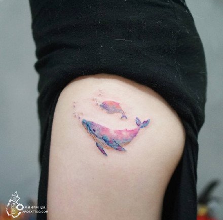 小鲸鱼纹身 小清新的9款彩色鲸鱼纹身图片