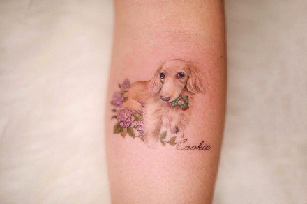 一组可爱的小猫小狗纹身图案