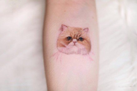 一组可爱的小猫小狗纹身图案