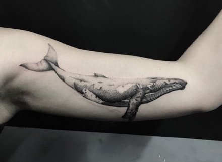 一组孤单的鲸鱼纹身图案欣赏
