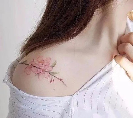 一组彩色好看的小仙女肩花纹身