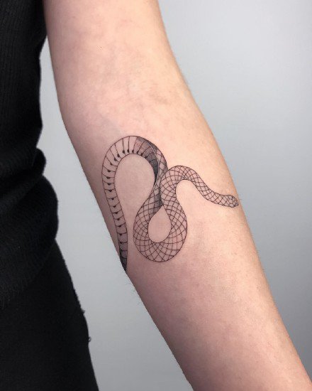 一组蛇和花纹身图案欣赏
